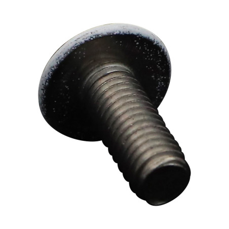 1 x Metalen schroeven Bolkop breed rond Pozi M6X16 RVS A2 witte lak RAL9016 verkeerswit