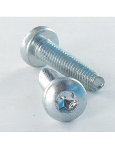 Zelftappende schroef bolvormige kopschroef M8X30 TORX T45...