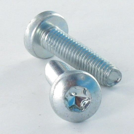 1 x Zelftappende schroef bolvormige kopschroef M3X6 TORX T10 Wit verzinkt staal microschroeven