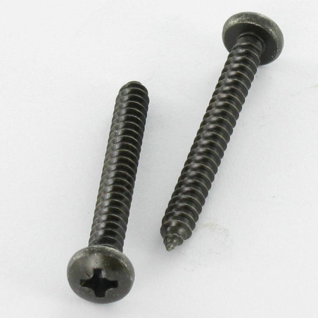 1 x Metaalplaatschroef RVS A2 Zwart bolvormige kopschroef Pozi 4.8X38 EP3