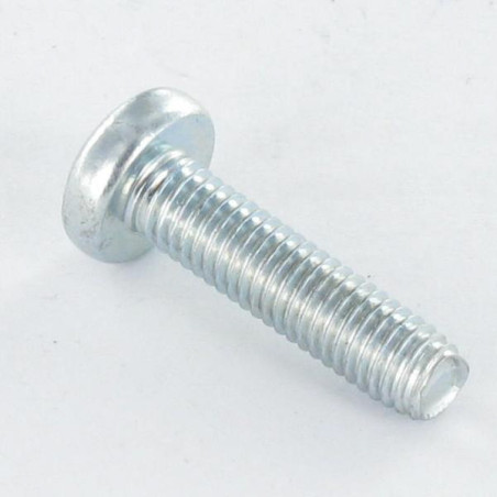 1 x Zelftappende schroef bolvormige kopschroef M4X20 TORX T20 Wit verzinkt staal