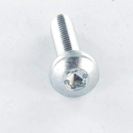 1 x Zelftappende schroef bolvormige kopschroef M2.5X12 TORX T8 Wit verzinkt staal microschroeven