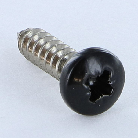 1 x Metaalplaatschroef RVS A2 bolvormige kopschroef Pozi 4.8X19 RAL9005 donker zwart