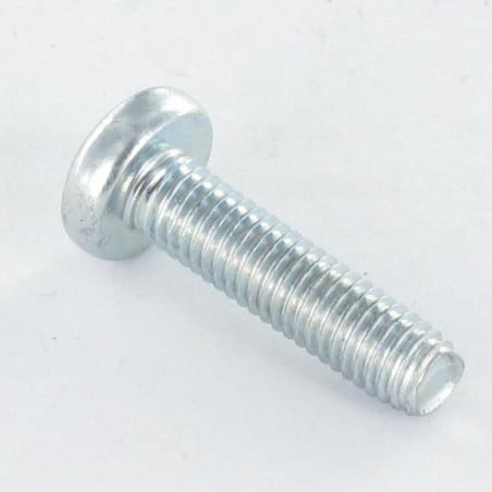 1 x Zelftappende schroef bolvormige kopschroef M5X25 TORX T25 Wit verzinkt staal