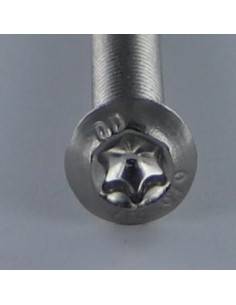 Metalen schroeven kop bollig TORX T10 M3X6 volledige... 2