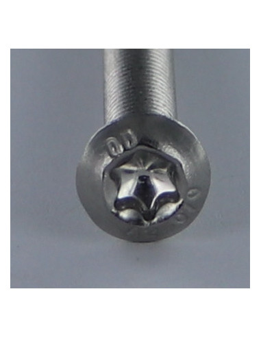 1 x Metalen schroeven kop bollig TORX T40 M8X35...