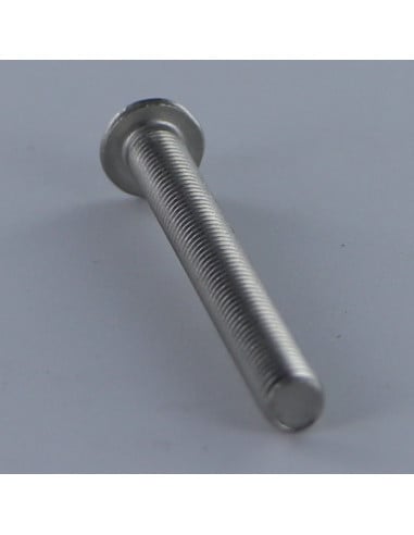 1 x Metalen schroeven kop bollig TORX T25 M5X65...