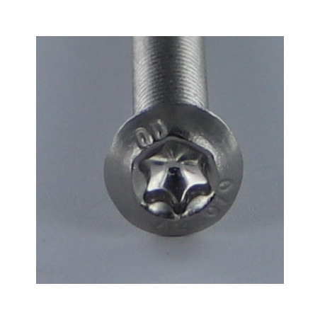 1 x Metalen schroeven kop bollig TORX T10 M3X50 volledige draad RVS A2 microschroeven