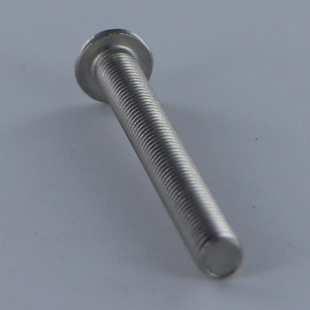 1 x Metalen schroeven kop bollig T55 M12X75 volledige draad RVS A2