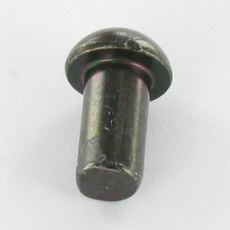 1 x Massieve klinknagel ronde kop 6,5 x 12 Zwart gegalvaniseerd staal