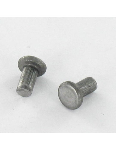 1 x Massieve klinknagel platte kop 2.6X20...