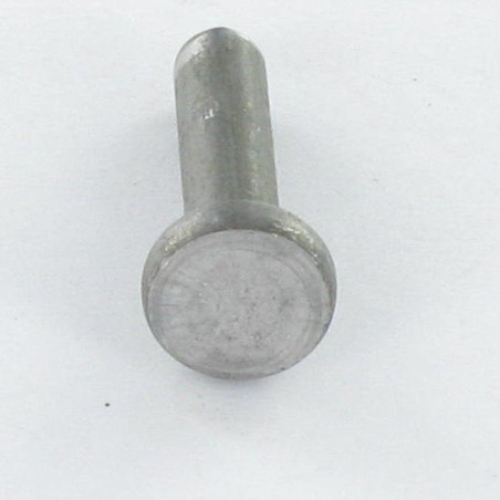 1 x Massieve klinknagel platte kop 6,5 x 10 Wit verzinkt staal EP2 kopdiameter 12