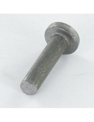 1 x Massieve klinknagel platte kop 6,5 x 10 Wit...