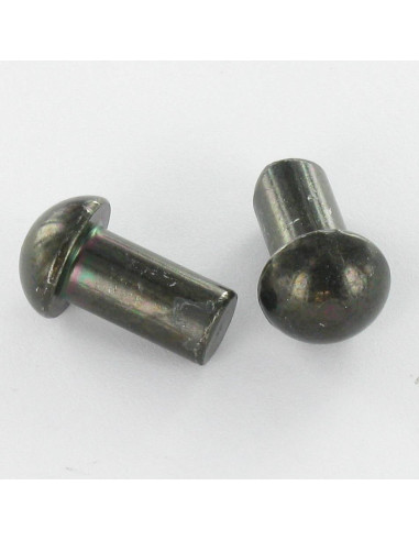 1 x Massieve klinknagel ronde kop 6X25 Zwart...