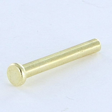 1 x Massieve klinknagel platte kop 2.6X20 kopdiameter 4.5 EP1.2 Messing staal