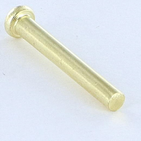 1 x Massieve klinknagel platte kop 2.6X20 kopdiameter 4.5 EP1.2 Messing staal