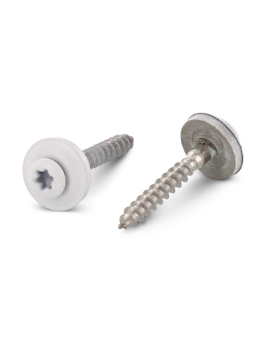 1 x Nokschroef gefreesde bolkop TORX T20 RVS A2...