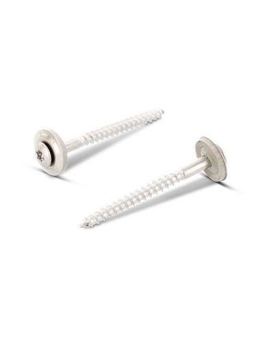 1 x Nokschroef gefreesde bolkop TORX T20 RVS A2...