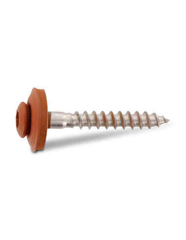 1 x Nokschroef gefreesde bolkop TORX T20 RVS A2...