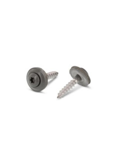 Nokschroef gefreesde bolkop TORX T20 RVS A2 RAL7005...