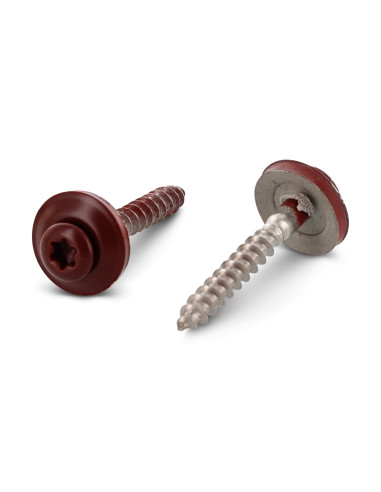 1 x Nokschroef gefreesde bolkop TORX T20 RVS A2...