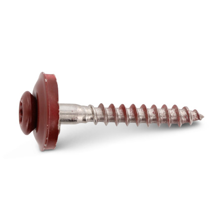 1 x Nokschroef gefreesde bolkop TORX T20 RVS A2 RAL3009 oxydrood 4.5X100RD.EPDM