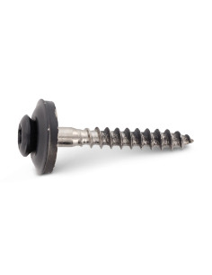 Nokschroef gefreesde bolkop TORX T20 RVS A2 RAL7016... 2