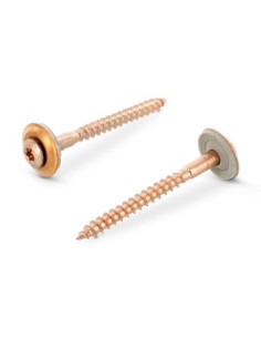 Nokschroef gefreesde bolkop TORX T20 RVS A2 koper 5X250...