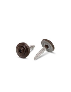 Nokschroef gefreesde bolkop TORX T20 RVS A2 RAL8014 sepia...