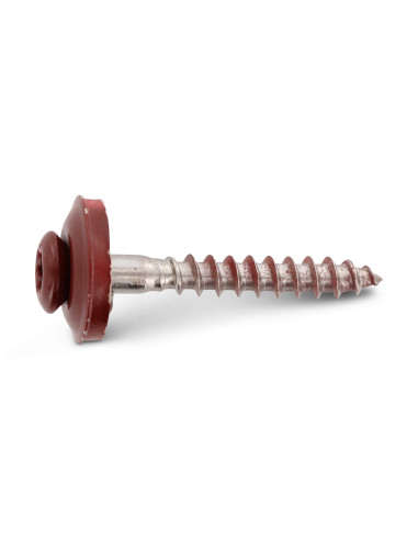 1 x Nokschroef gefreesde bolkop TORX T20 RVS A2...