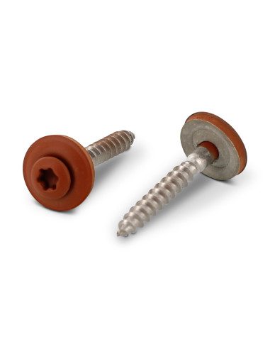 1 x Nokschroef gefreesde bolkop TORX T20 RVS A2...