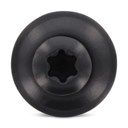 1 x Nokschroef gefreesde bolkop TORX T20 RVS A2 RAL7016 antraciet grijs 4,5X80 Afdichtingsring met neopreen epdm