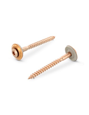1 x Nokschroef gefreesde bolkop TORX T20 RVS A2...