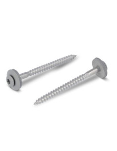 Nokschroef gefreesde bolkop TORX T20 RVS A2 RAL7030...