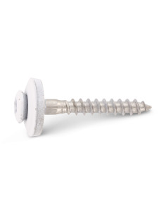 Nokschroef gefreesde bolkop TORX T20 RVS A2 RAL9010... 2