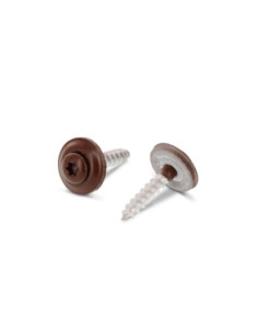 Nokschroef gefreesde bolkop TORX T20 RVS A2 RAL8011...