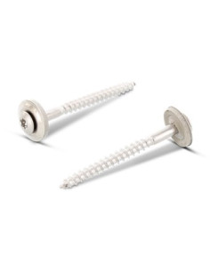 Nokschroef gefreesde bolkop TORX T20 RVS A2 4,5X50...