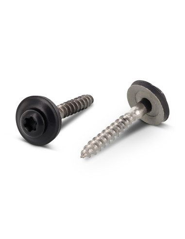 1 x Nokschroef gefreesde bolkop TORX T20 RVS A2...