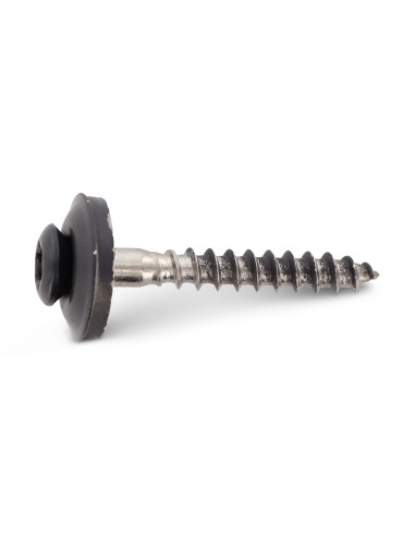 1 x Nokschroef gefreesde bolkop TORX T20 RVS A2...