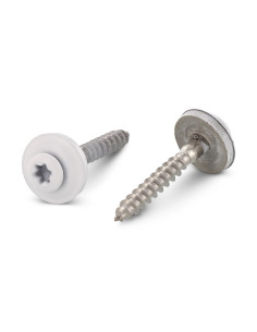 Nokschroef gefreesde bolkop TORX T20 RVS A2 RAL9010...