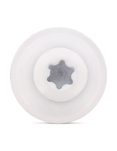 1 x Nokschroef gefreesde bolkop TORX T20 RVS A2...