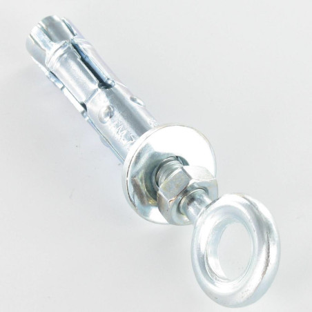 1 x Plug Verankering met Oogschroef M12 20X80 Wit verzinkt staal