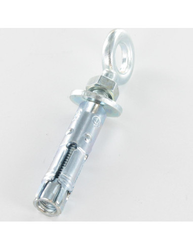 1 x Plug Verankering met Oogschroef M6 10X40...
