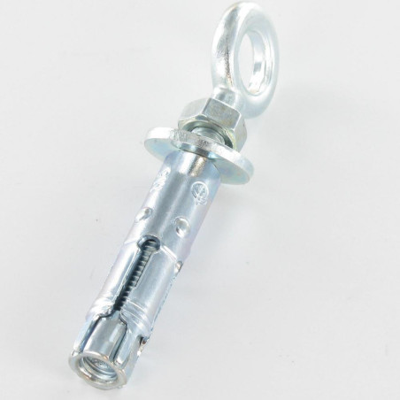 1 x Plug Verankering met Oogschroef M6 10X40 Wit verzinkt staal