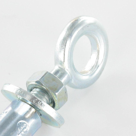 1 x Plug Verankering met Oogschroef M6 10X40 Wit verzinkt staal