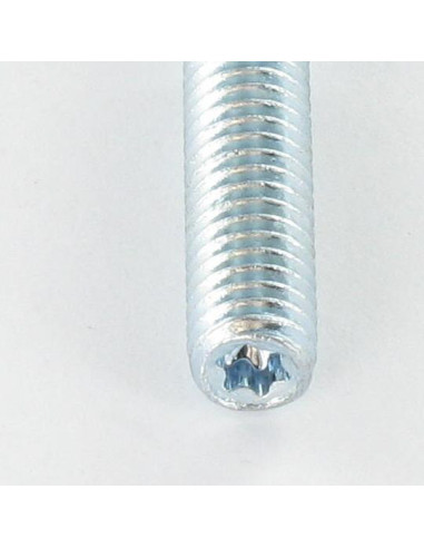 1 x Tapeind uitlaatspruitstuk Fischer STST TORX...
