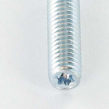 1 x Tapeind uitlaatspruitstuk Fischer STST TORX T25 Wit verzinkt staal 10X80
