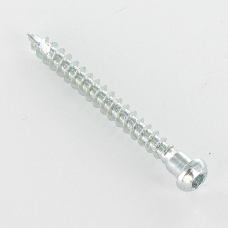 1 x Schroeven HARDWARE HOEKIG cilindrische kop TORX T20 anti-splijtpunt type 17 cut Wit verzinkt staal 5X45