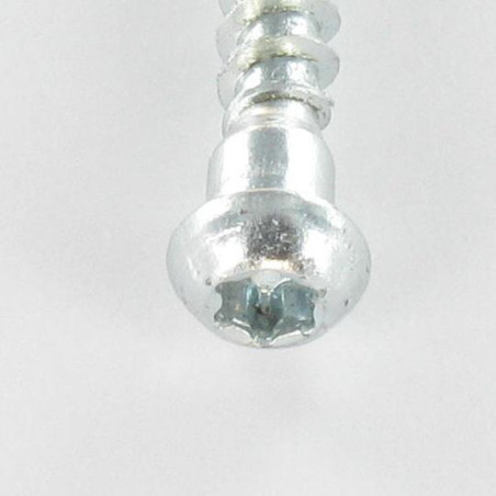 1 x Schroeven HARDWARE HOEKIG cilindrische kop TORX T20 anti-splijtpunt type 17 cut Wit verzinkt staal 5X35