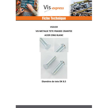 1 x Metalen schroeven gefreesde kop kartel M6X15 kopdiameter 8.5 Wit verzinkt staal